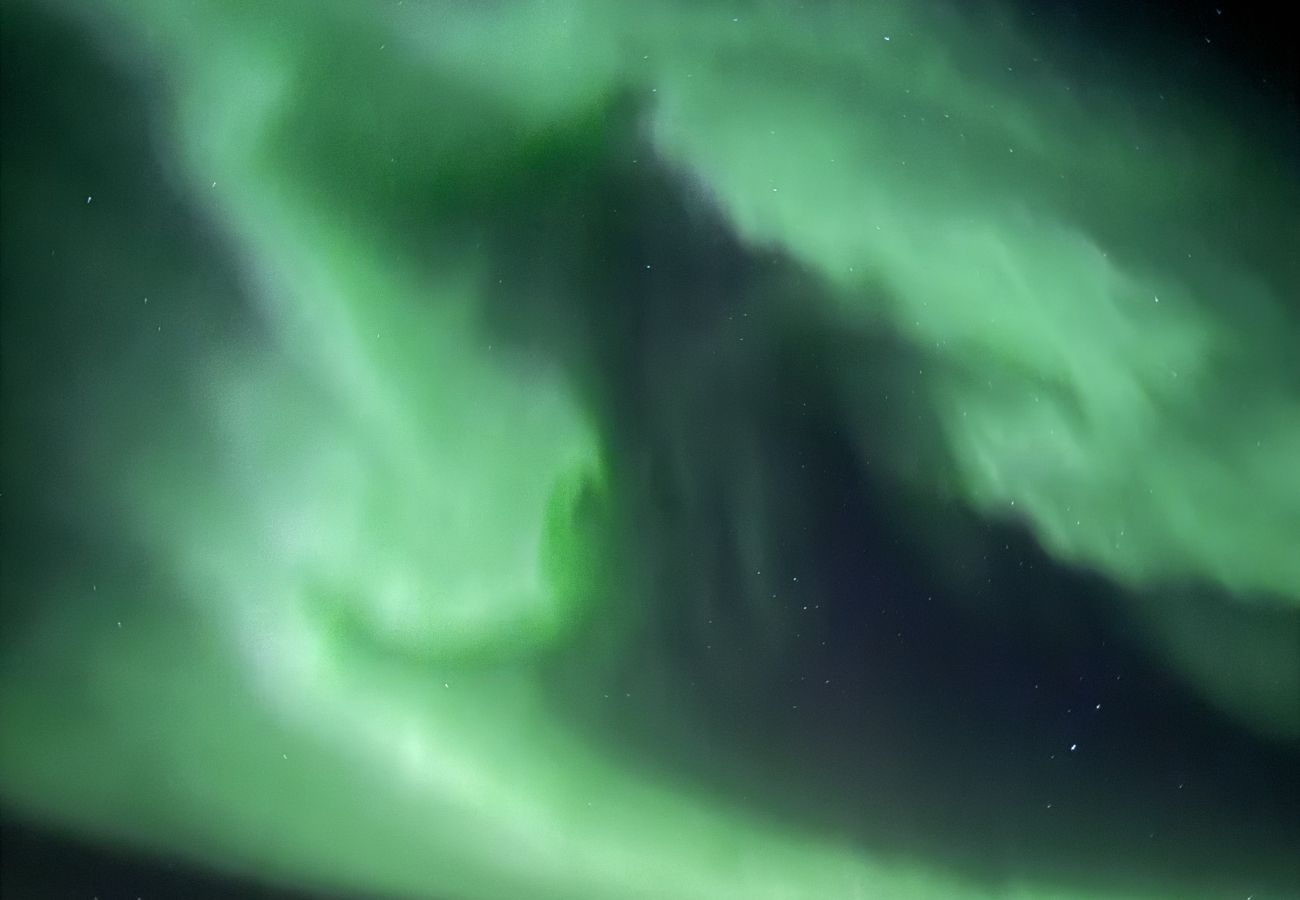 Hus i Senja - Fantastisk hus med sjøtomt i Gryllefjord