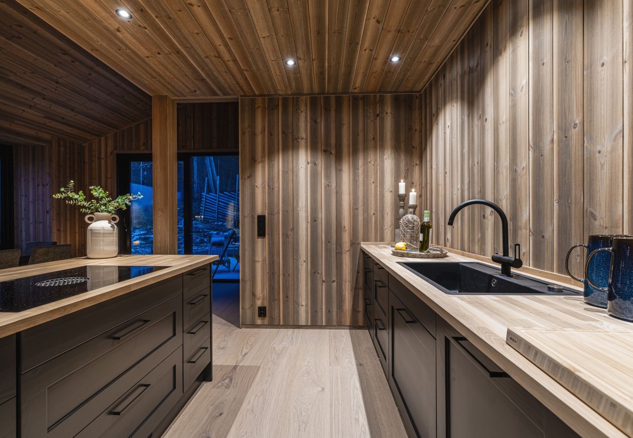 Hytte i Hemsedal - Nyørk Chalet, Hemsedal