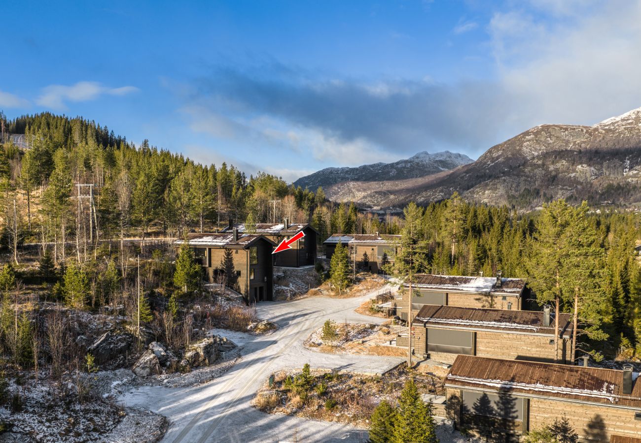 Hytte i Hemsedal - Nyørk Chalet, Hemsedal