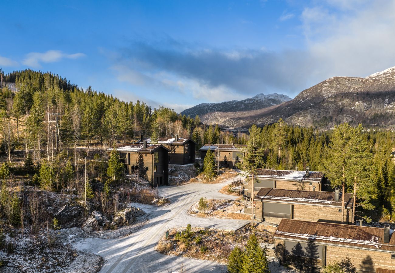 Hytte i Hemsedal - Nyørk Chalet, Hemsedal
