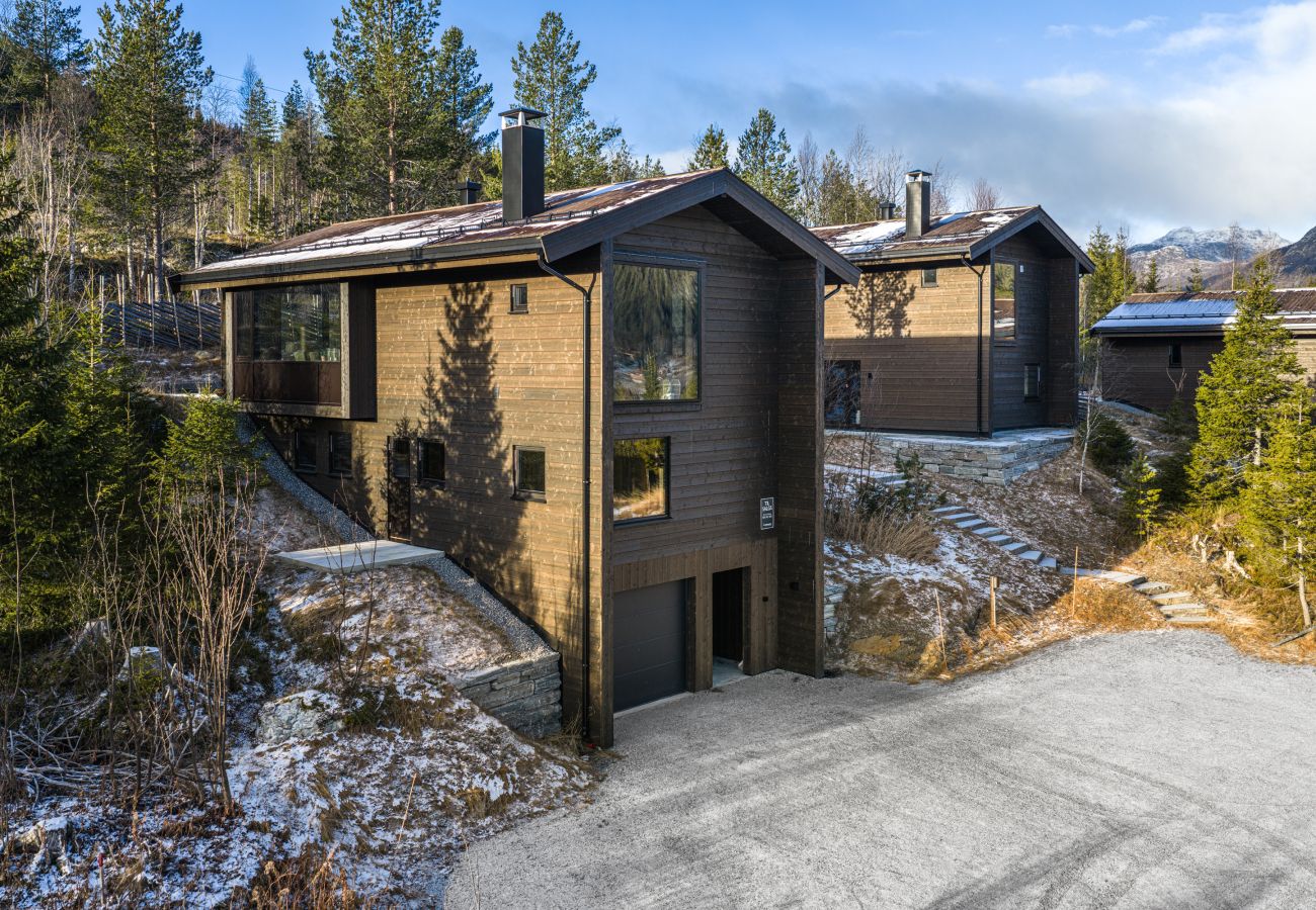 Hytte i Hemsedal - Nyørk Chalet, Hemsedal