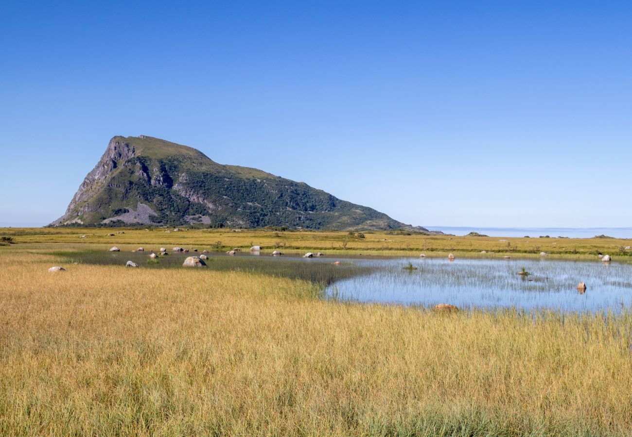 Hytte i Vågan - Hovden Lodge