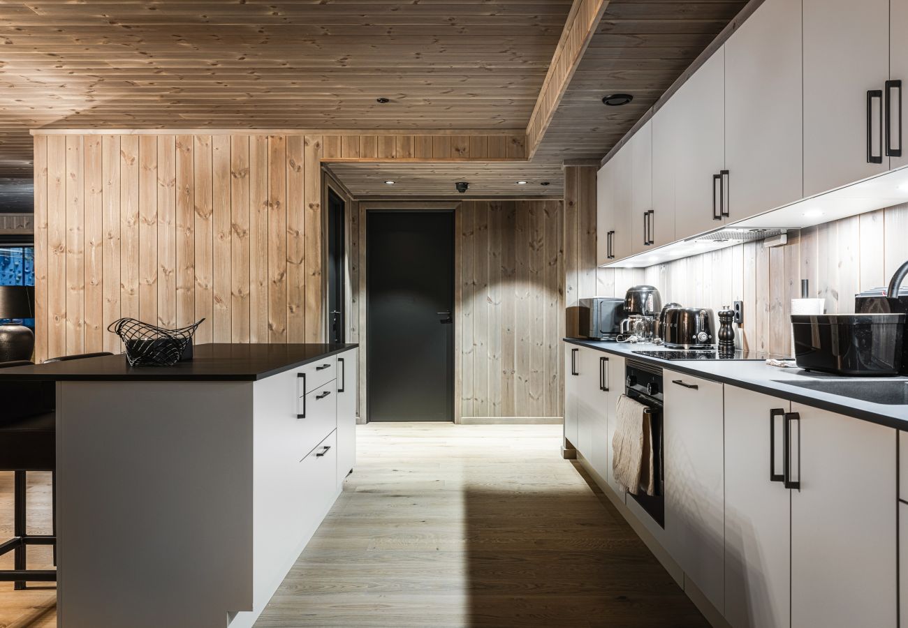 Leilighet i Hemsedal - Brand new luxury apartment by the slopes, Hemsedal