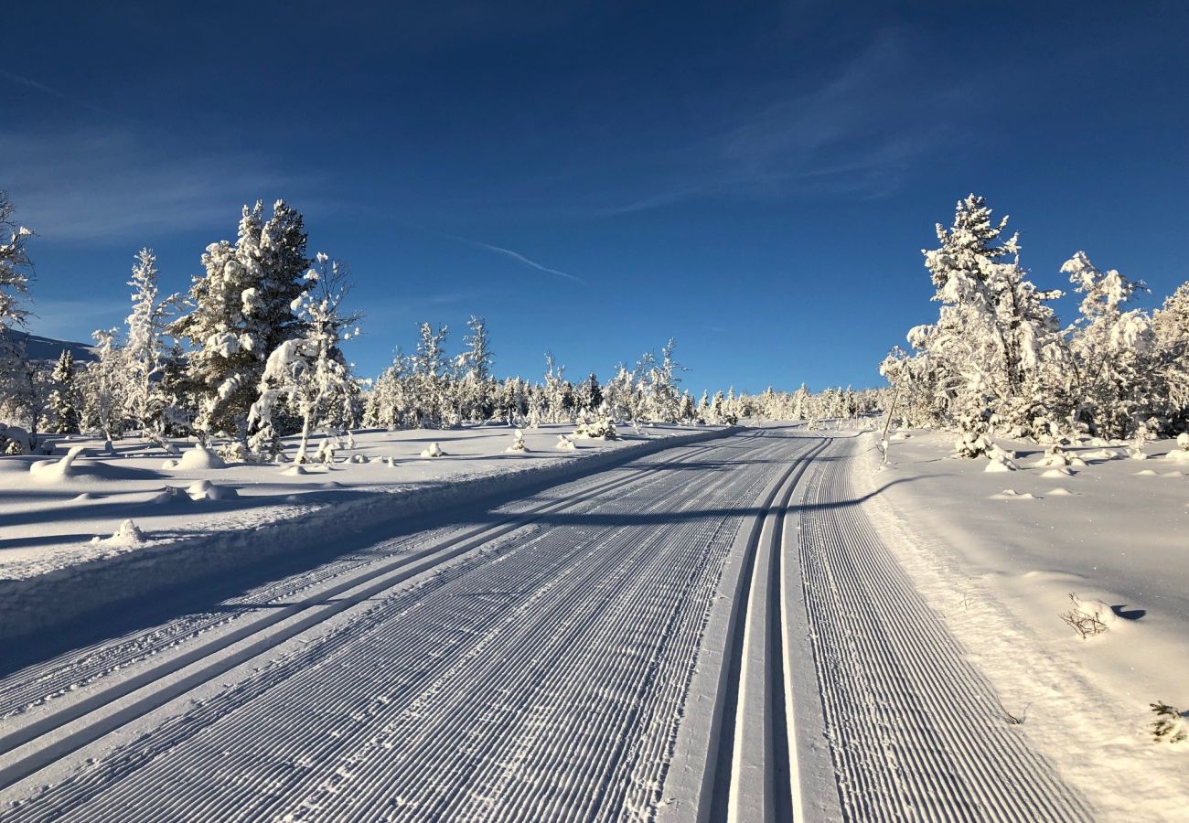 Hytte i Gol - Fjellkos, fjellhytte på Gol