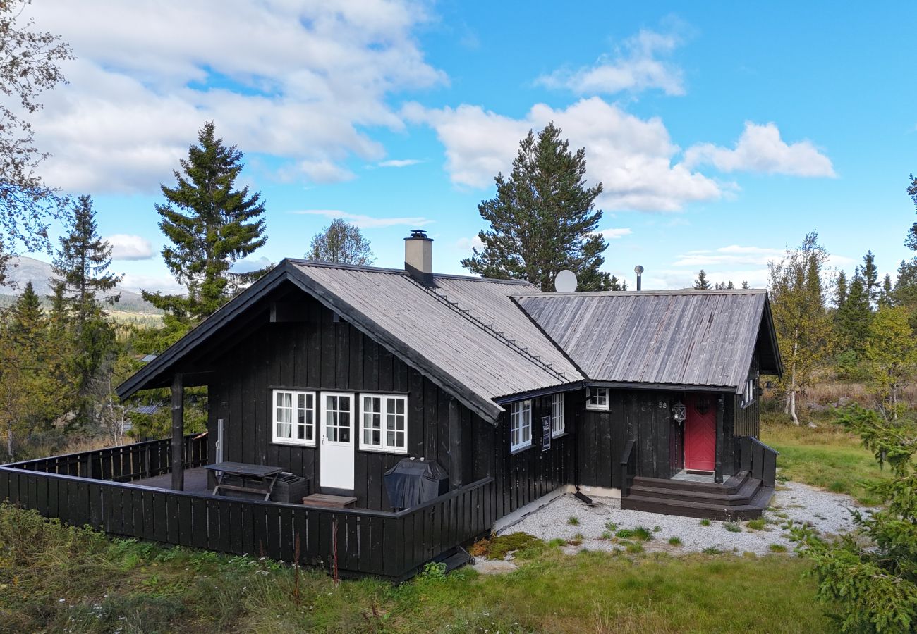 Hytte i Gol - Fjellkos, fjellhytte på Gol