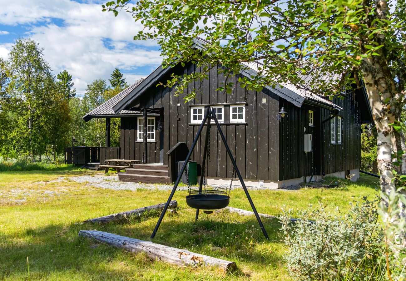 Hytte i Gol - Fjellkos, fjellhytte på Gol