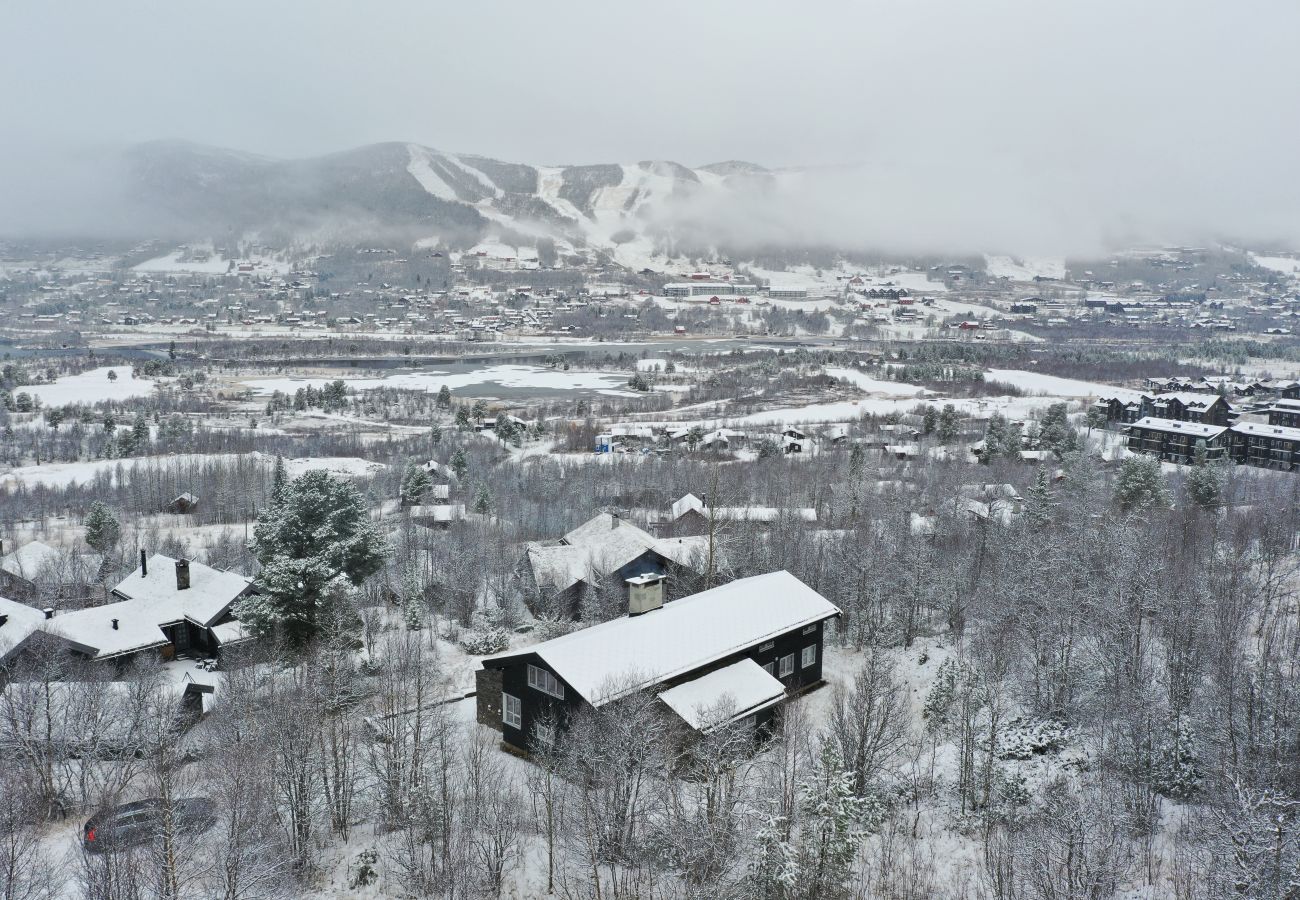 Hytte i Hol - Familiehytte med fantastisk beliggenhet i Vestlia