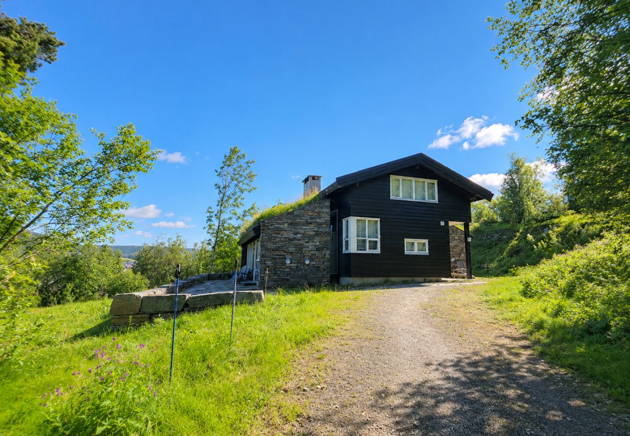 Hytte i Hol - Familiehytte med fantastisk beliggenhet i Vestlia