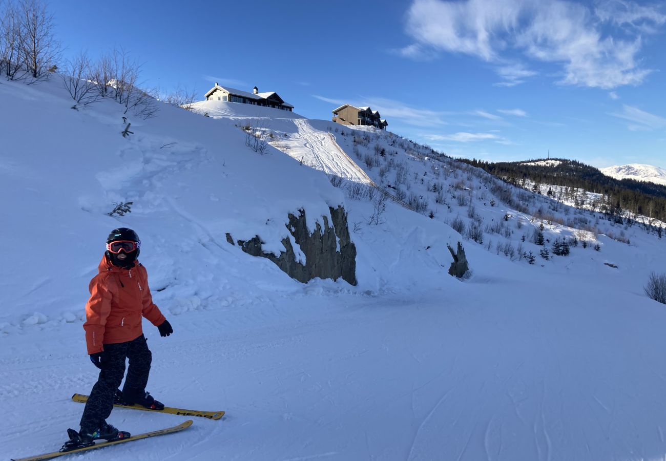 Leilighet i Gol - Leilighet på Gol Skisenter