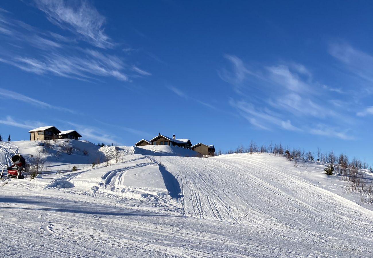 Leilighet i Gol - Leilighet på Gol Skisenter