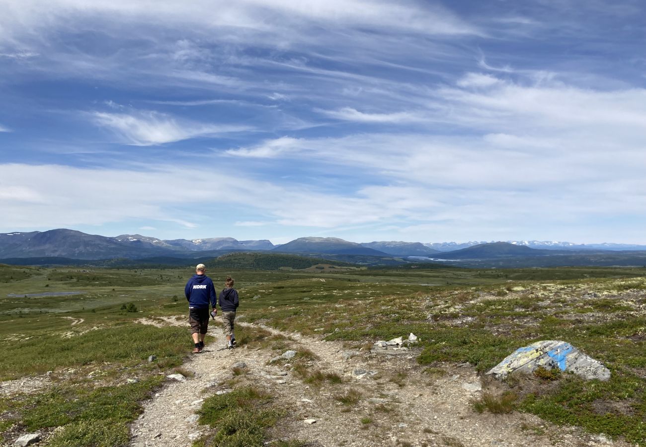 Leilighet i Gol - Leilighet på Gol Skisenter