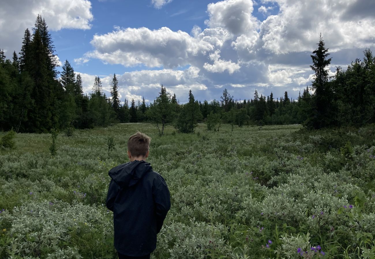 Leilighet i Gol - Leilighet på Gol Skisenter