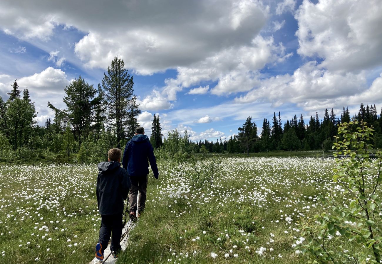 Leilighet i Gol - Leilighet på Gol Skisenter