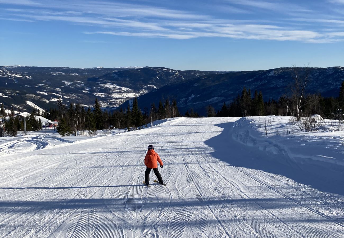 Leilighet i Gol - Leilighet på Gol Skisenter