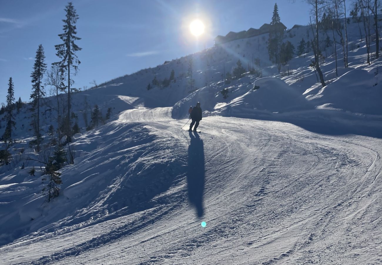 Leilighet i Gol - Leilighet på Gol Skisenter