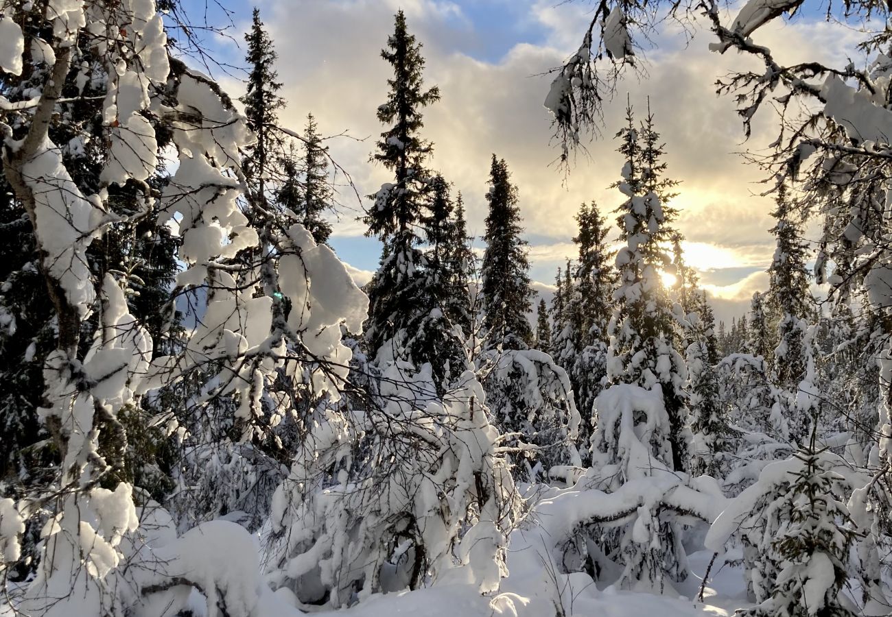 Leilighet i Gol - Leilighet på Gol Skisenter