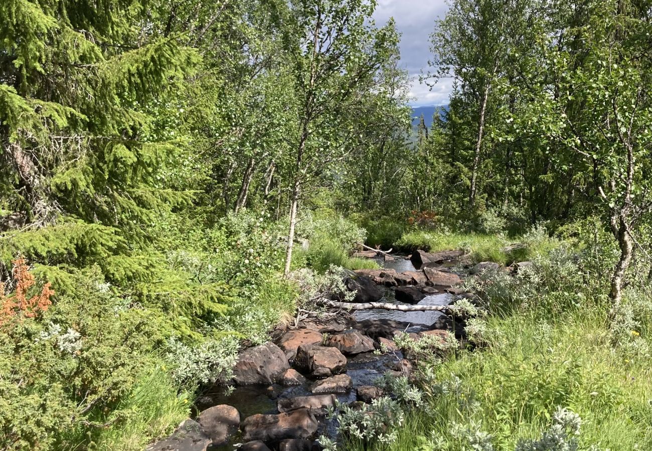 Leilighet i Gol - Leilighet på Gol Skisenter