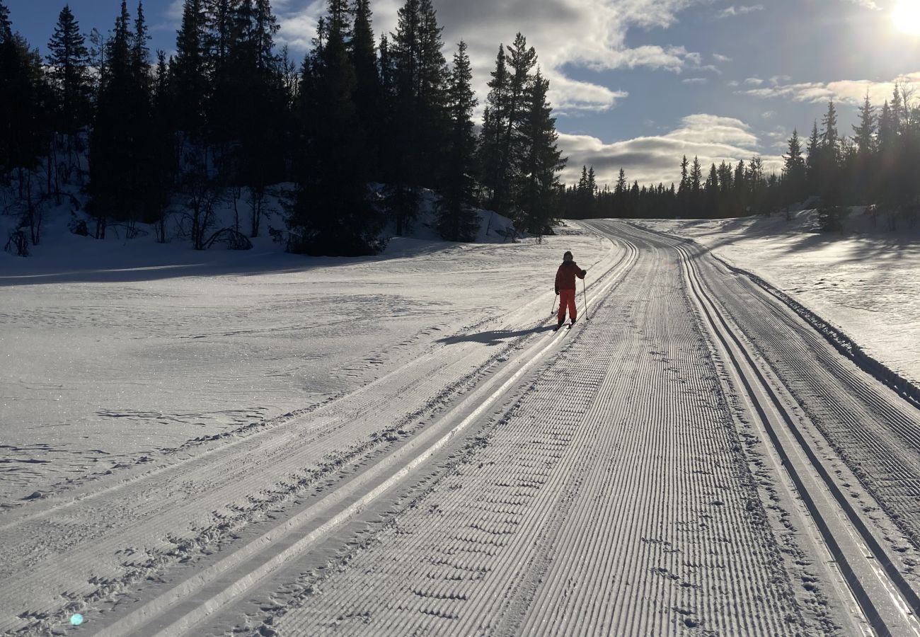Leilighet i Gol - Leilighet på Gol Skisenter