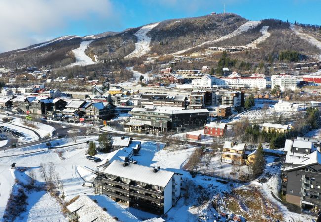 Leilighet i Hol - Sentral Leilighet med gangavstand til alt