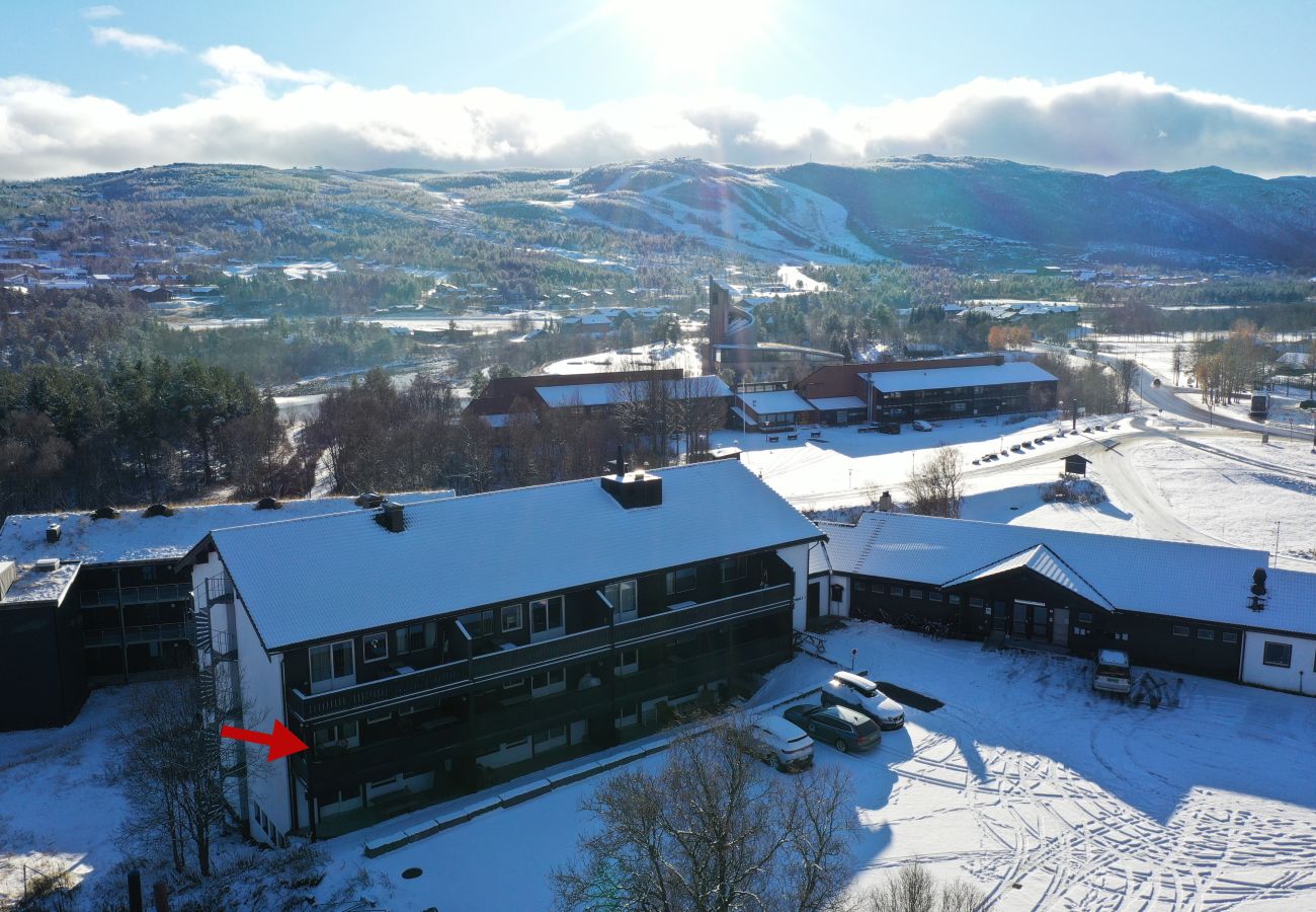 Leilighet i Hol - Sentral Leilighet med gangavstand til alt