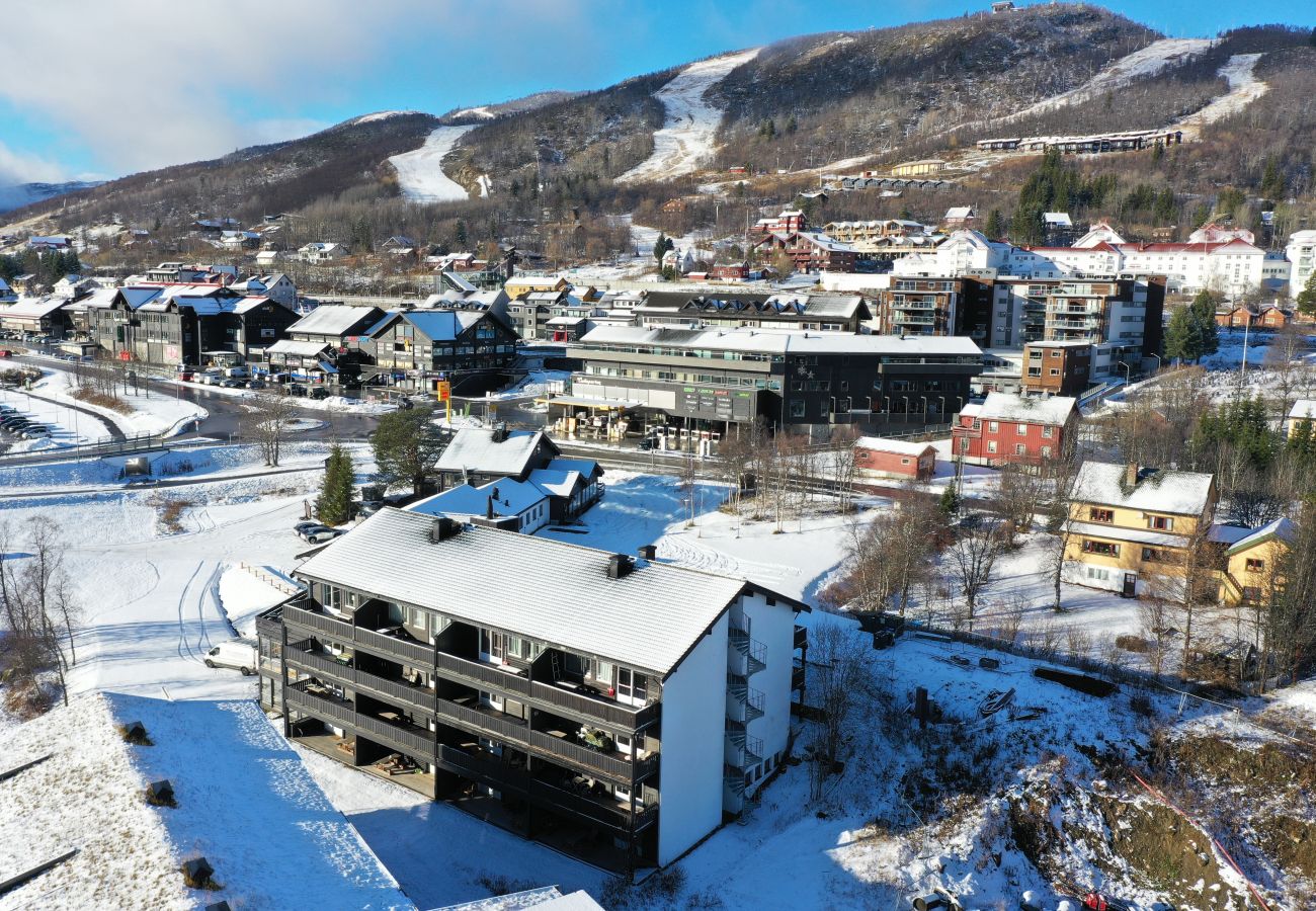 Leilighet i Hol - Sentral Leilighet med gangavstand til alt