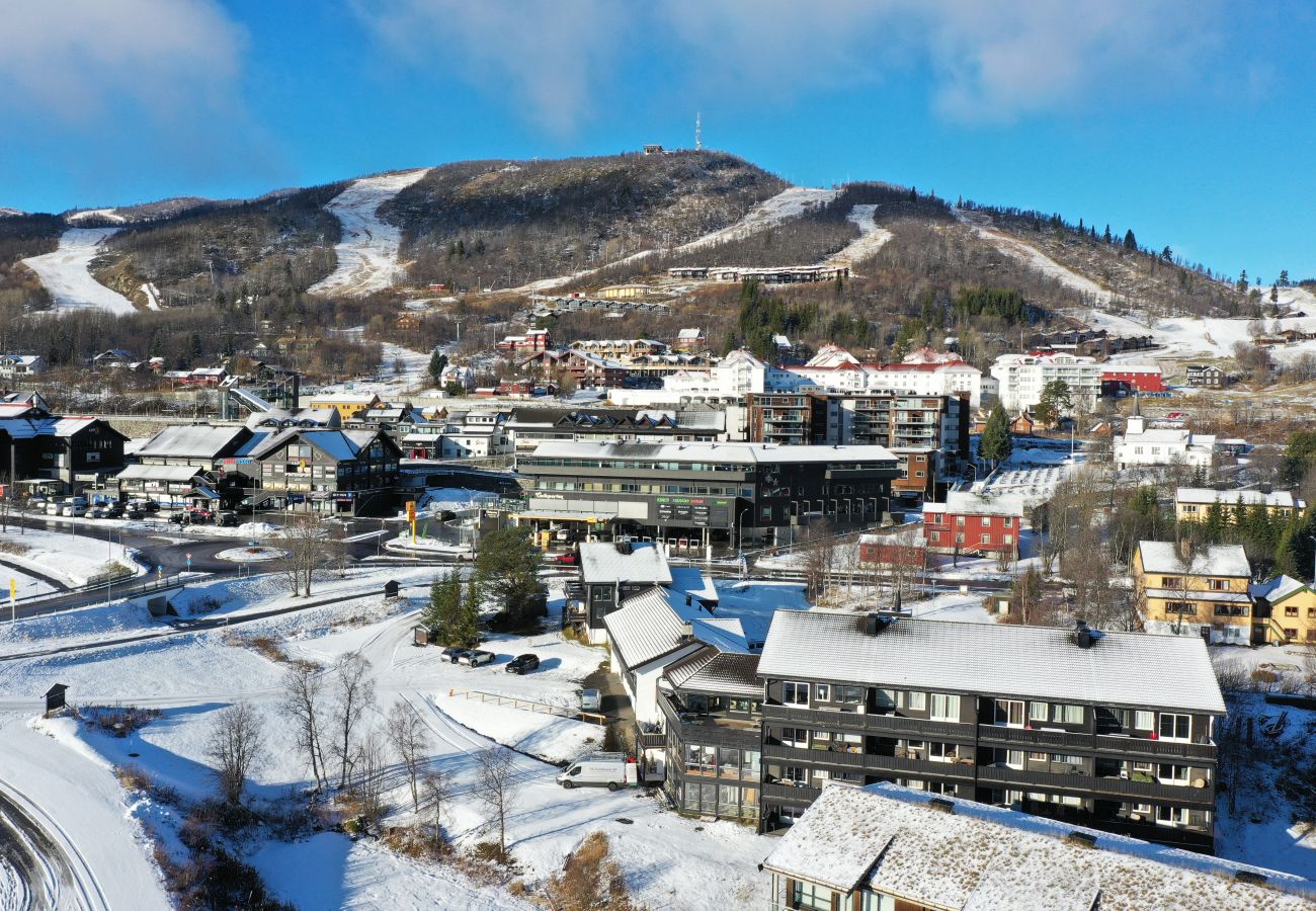 Leilighet i Hol - Sentral Leilighet med gangavstand til alt