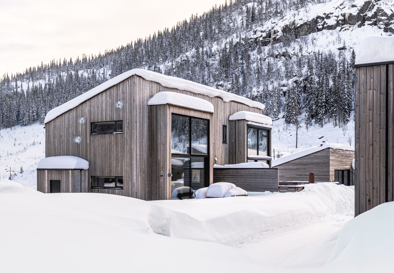 Hytte i Hemsedal - Hemsedal ski in/ski out cabin – modern comfort by the slopes