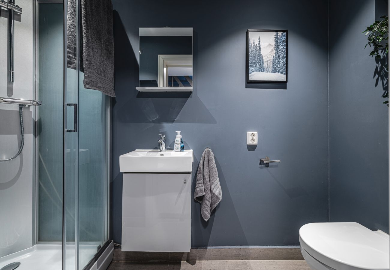 Hus i Hemsedal - Spacious Hemsedal home with ski slope view