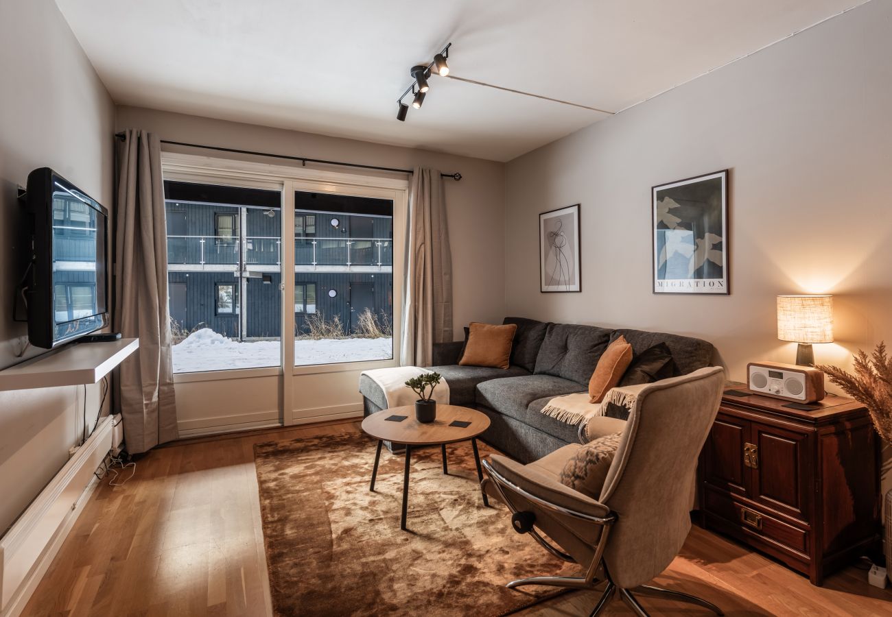 Leilighet i Hol - Geilo Town Centre – Apartment with a Superb Location! Walking Distance to Everything!