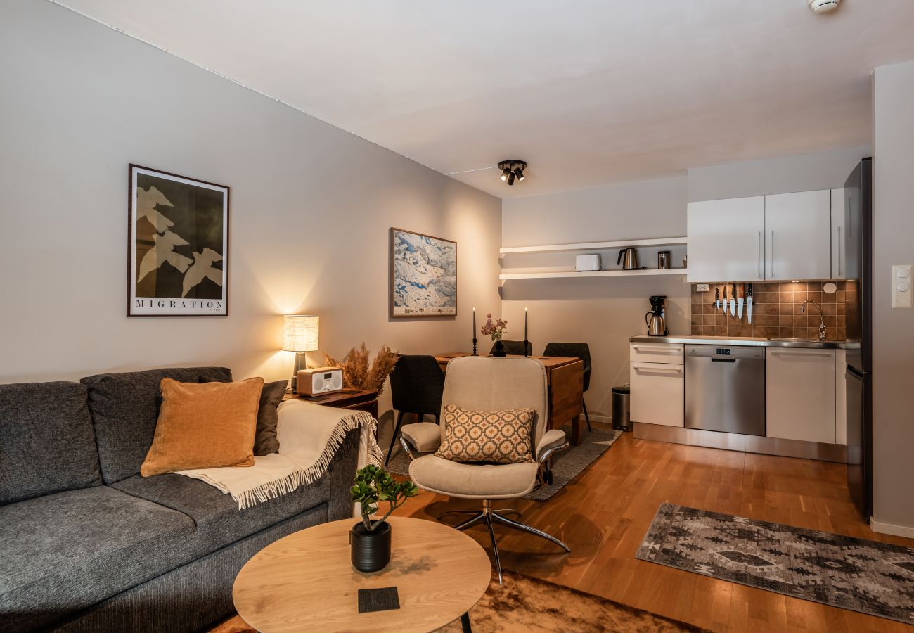 Leilighet i Hol - Geilo Town Centre – Apartment with a Superb Location! Walking Distance to Everything!