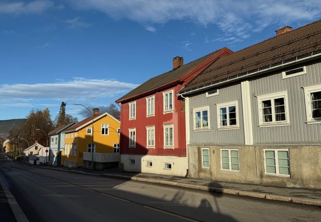 Leilighet i Lillehammer - Central apartment in Lillehammer