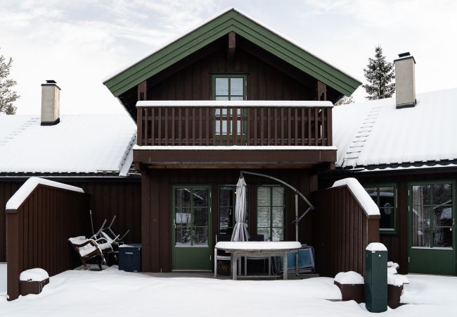 Leilighet i Hemsedal - Ski apartment Hemsedal-close to golf and fishing