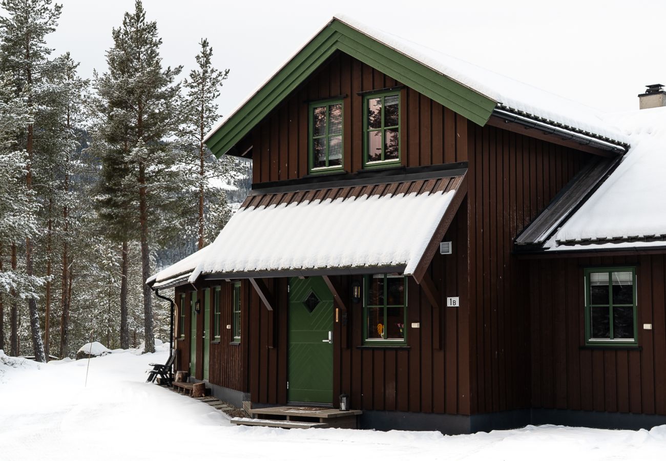 Leilighet i Hemsedal - Ski apartment Hemsedal-close to golf and fishing