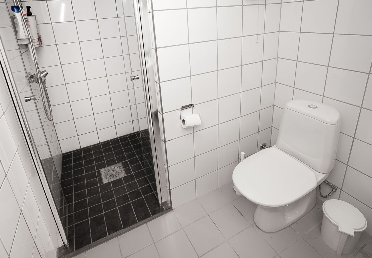 Leilighet i Hemsedal - Ski apartment Hemsedal-close to golf and fishing