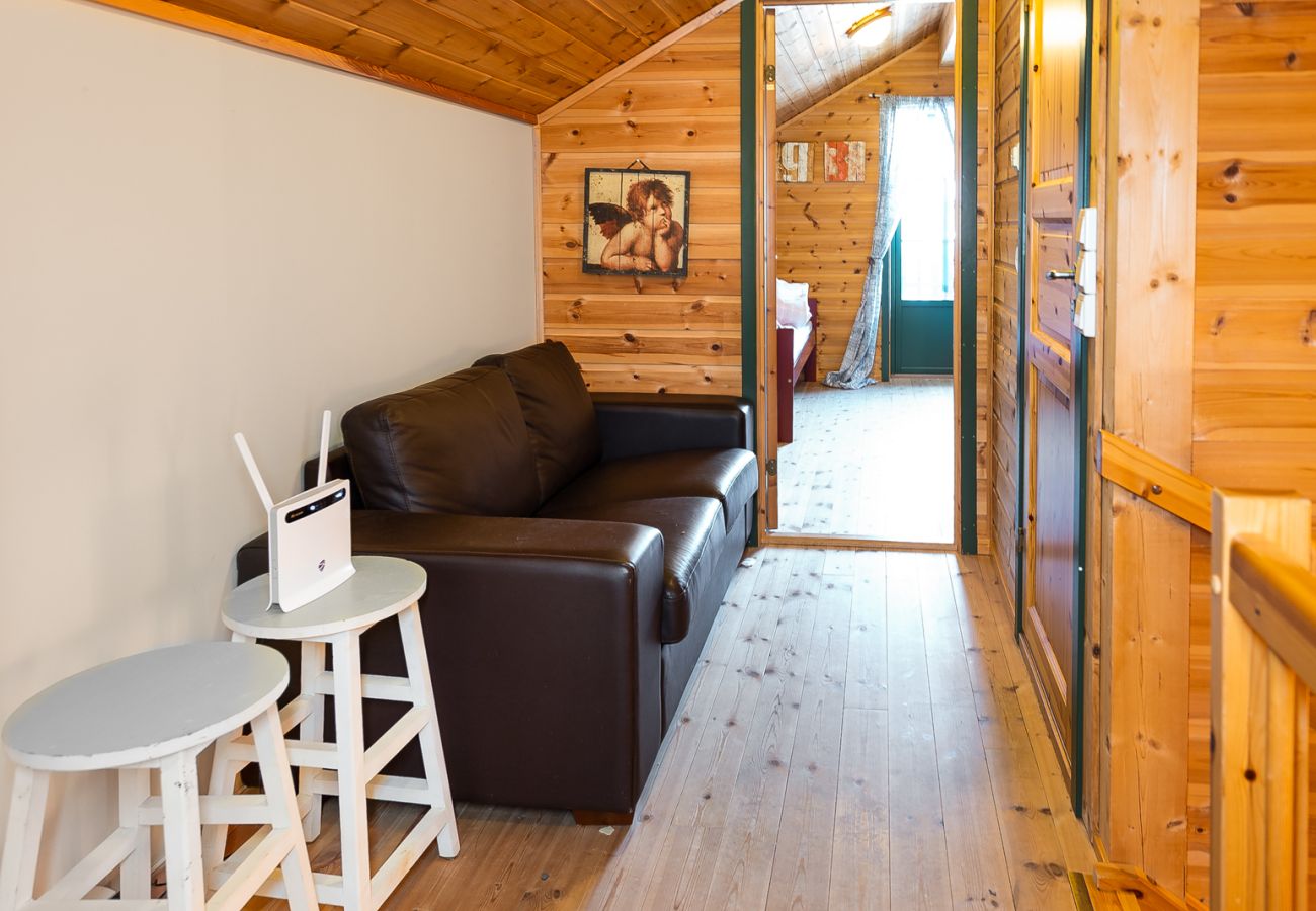 Leilighet i Hemsedal - Ski apartment Hemsedal-close to golf and fishing