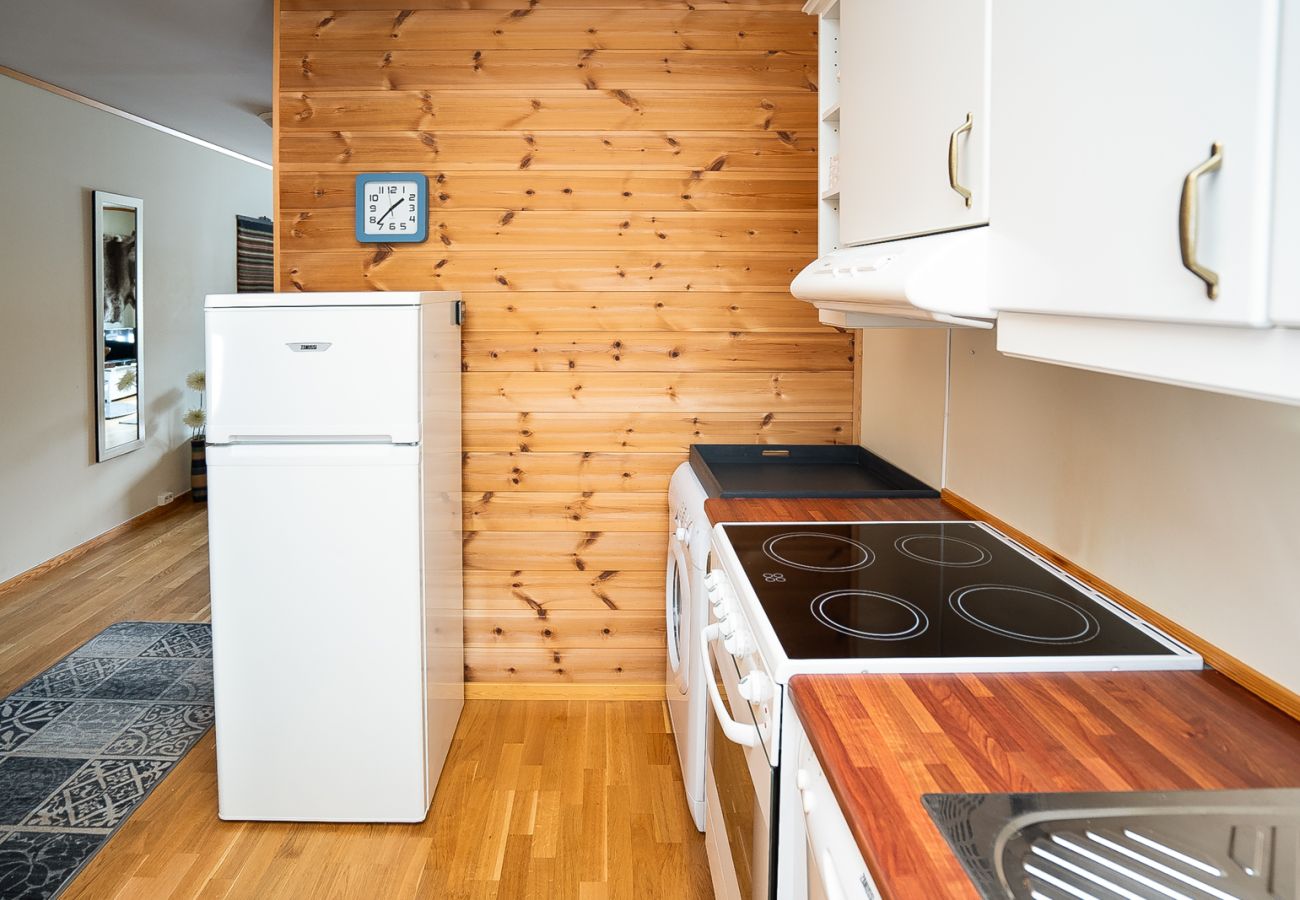 Leilighet i Hemsedal - Ski apartment Hemsedal-close to golf and fishing