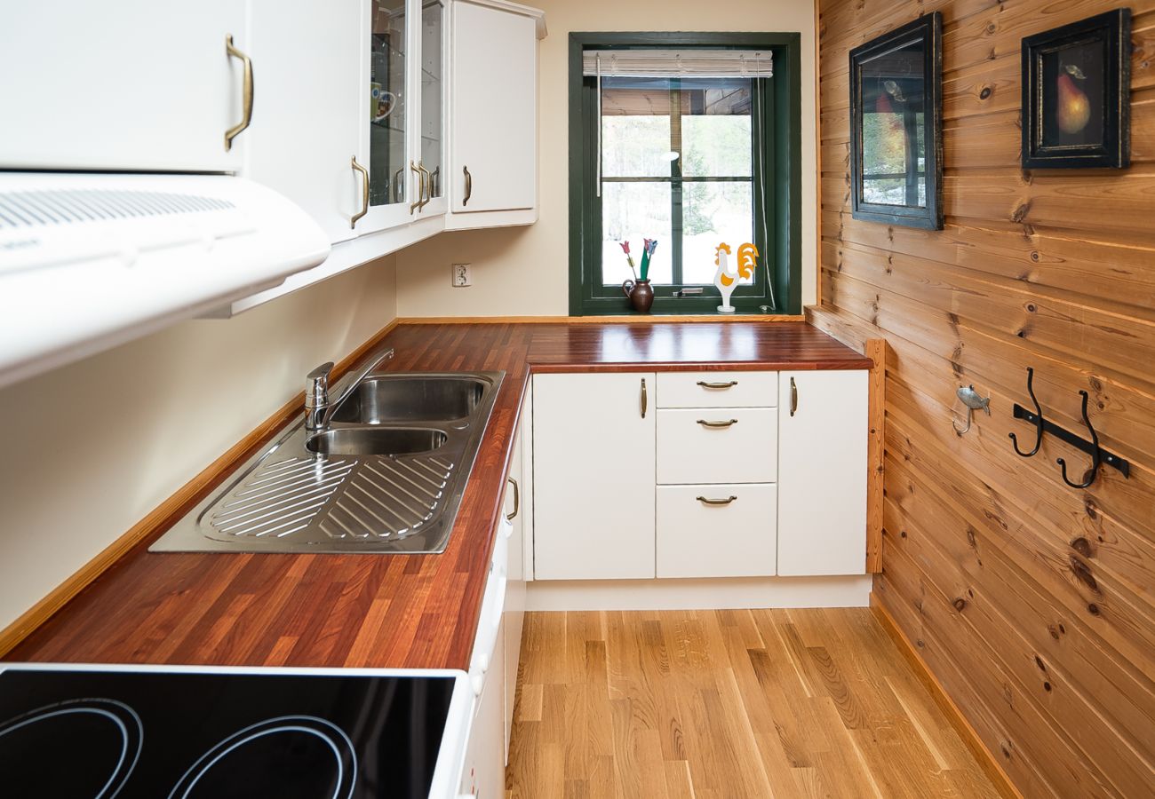 Leilighet i Hemsedal - Ski apartment Hemsedal-close to golf and fishing