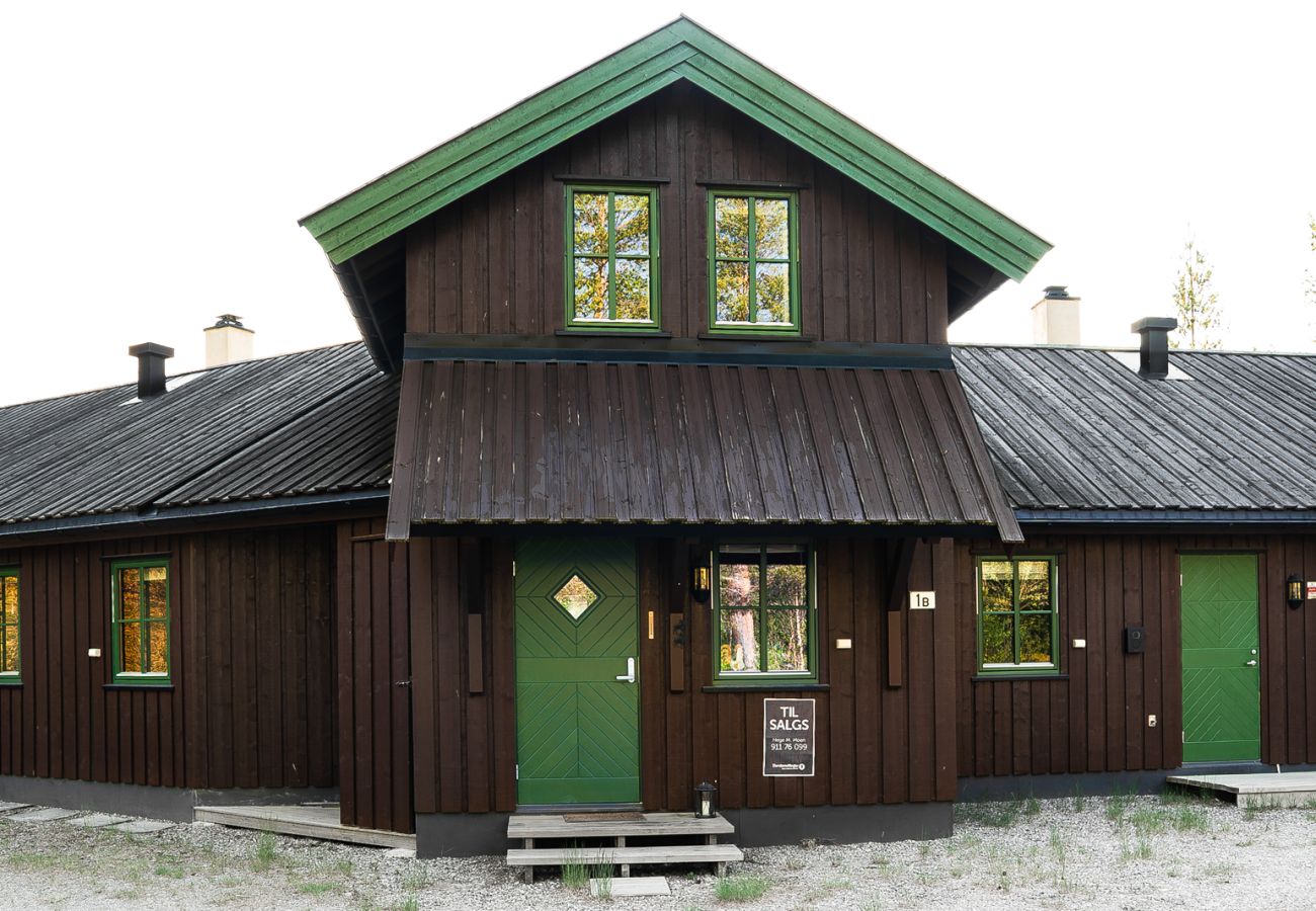 Leilighet i Hemsedal - Ski apartment Hemsedal-close to golf and fishing