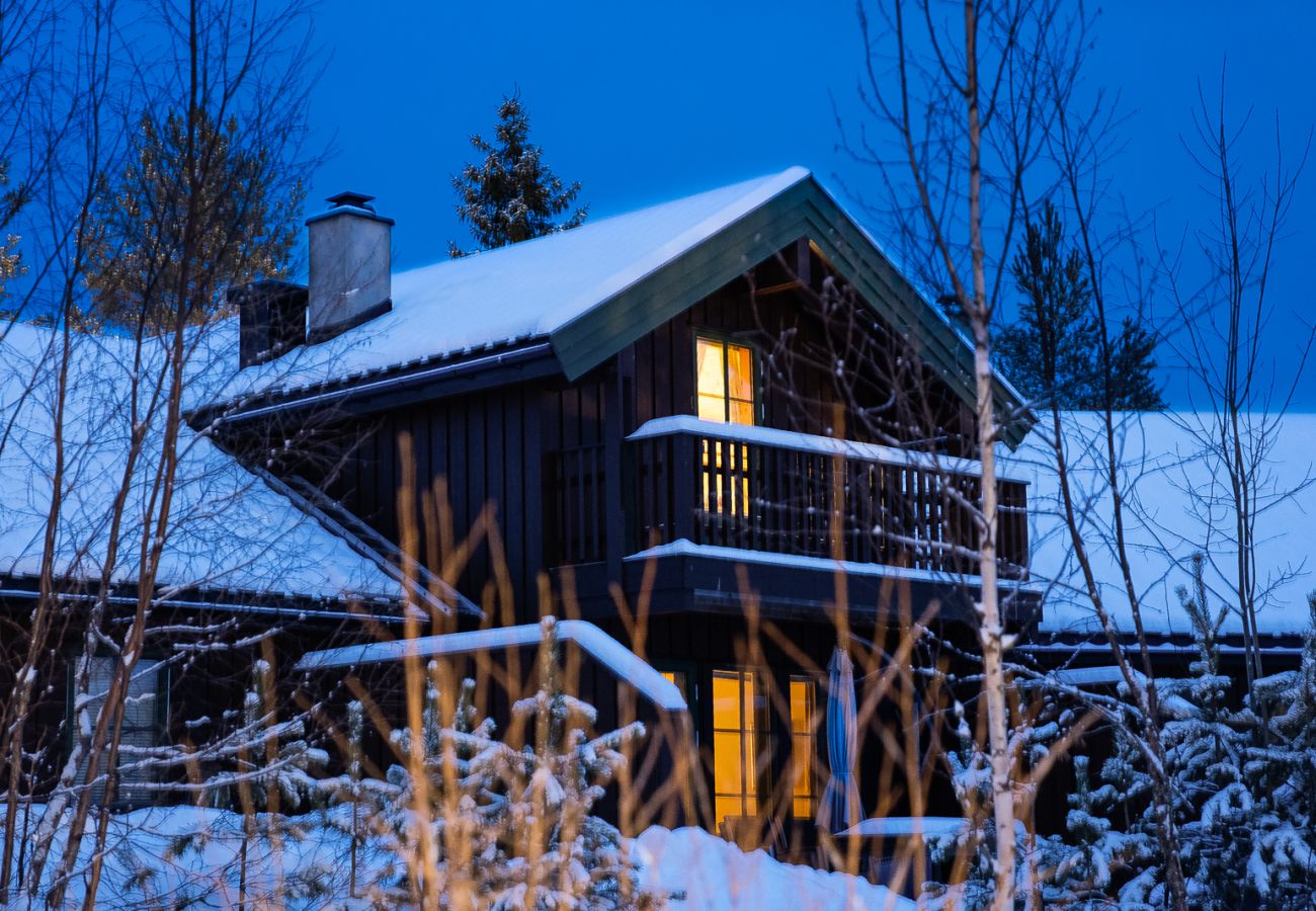Leilighet i Hemsedal - Ski apartment Hemsedal-close to golf and fishing