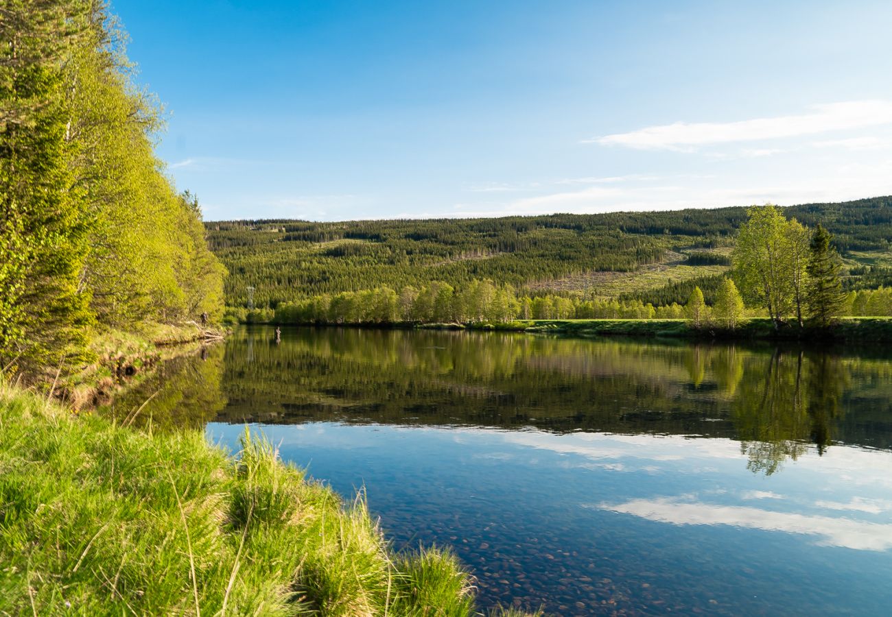 Leilighet i Hemsedal - Ski apartment Hemsedal-close to golf and fishing