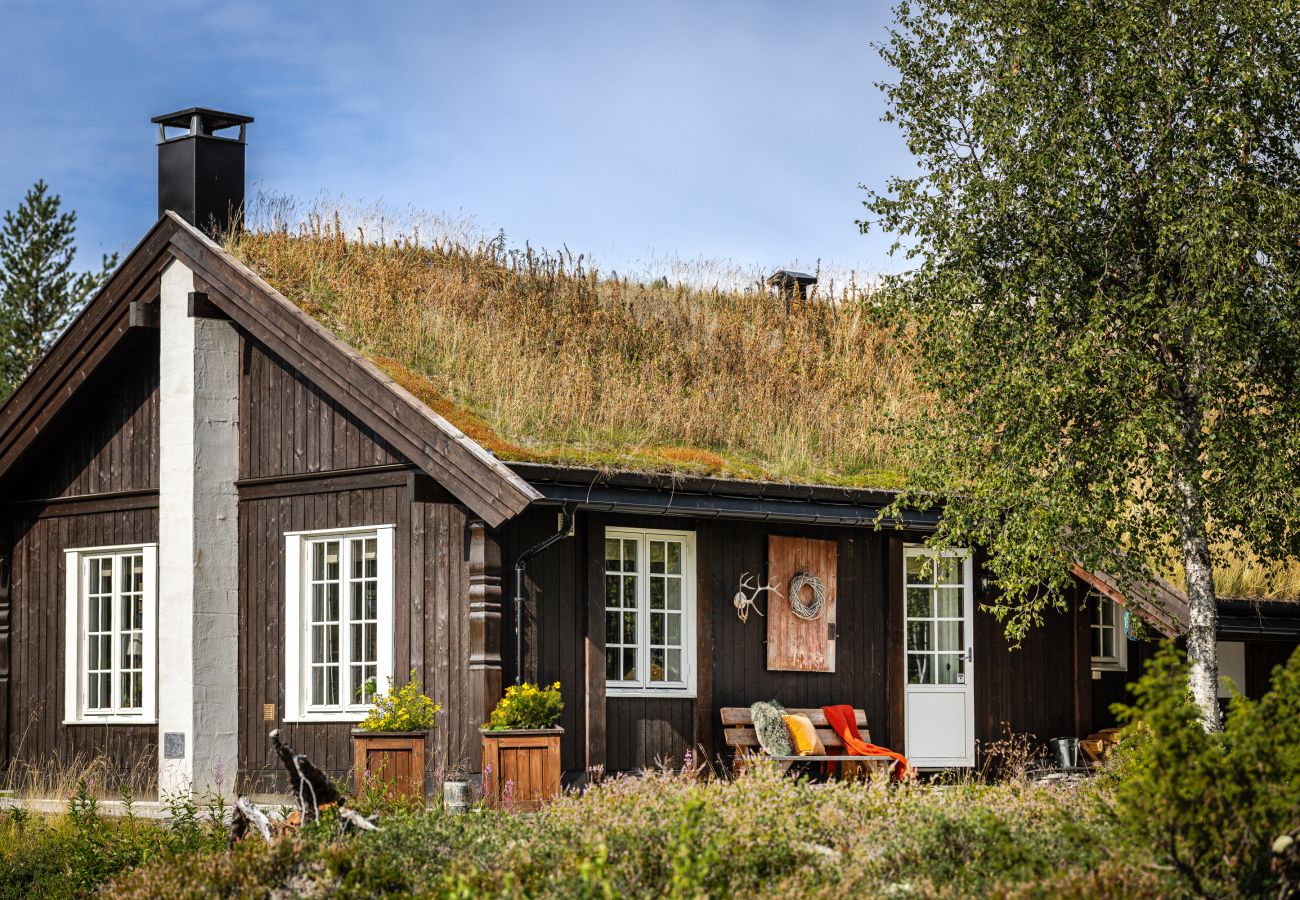Hytte i Hemsedal - Koselig hytte i Hemsedal Golf Alpin – perfekt for familie, fiske og ski