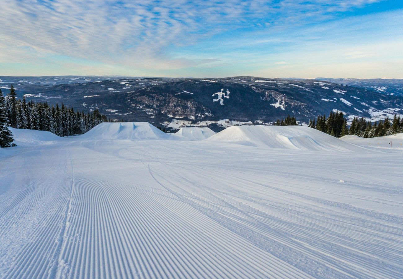 Hytte i Øyer - Flott familiehytte midt i Hafjell med ski in ski out