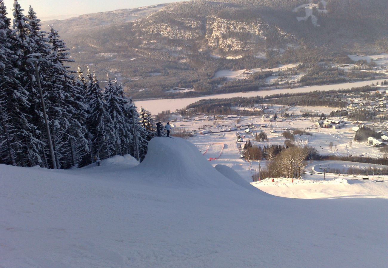 Hytte i Øyer - Flott familiehytte midt i Hafjell med ski in ski out