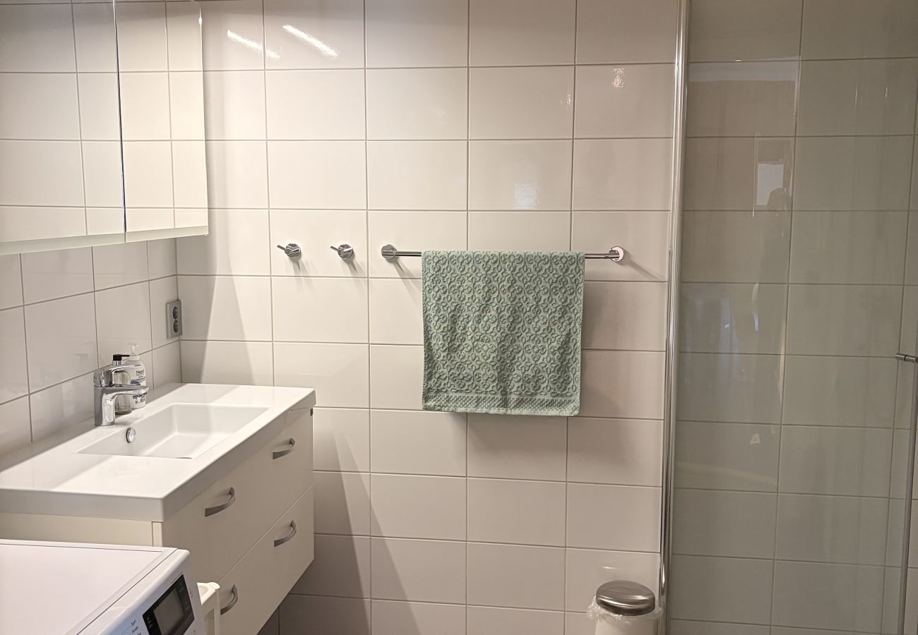 Leilighet i Hol - Leilighet i sentrum av Geilo