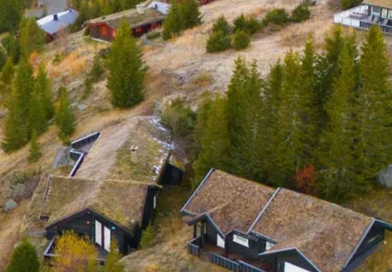 Hytte i Øyer - Bekkeblom, family cabin with extension in Hafjell