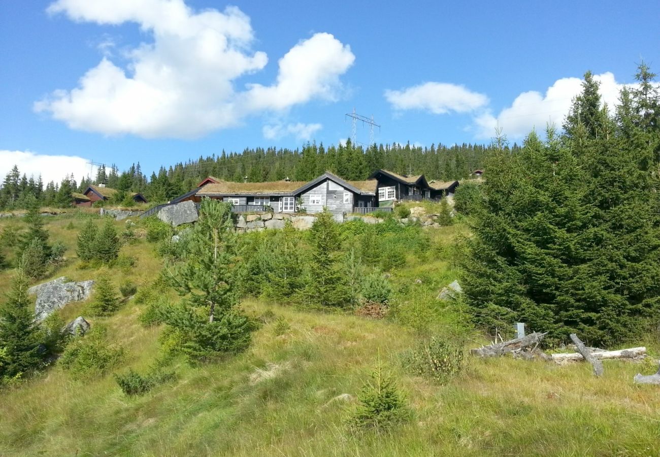 Hytte i Øyer - Bekkeblom, family cabin with extension in Hafjell