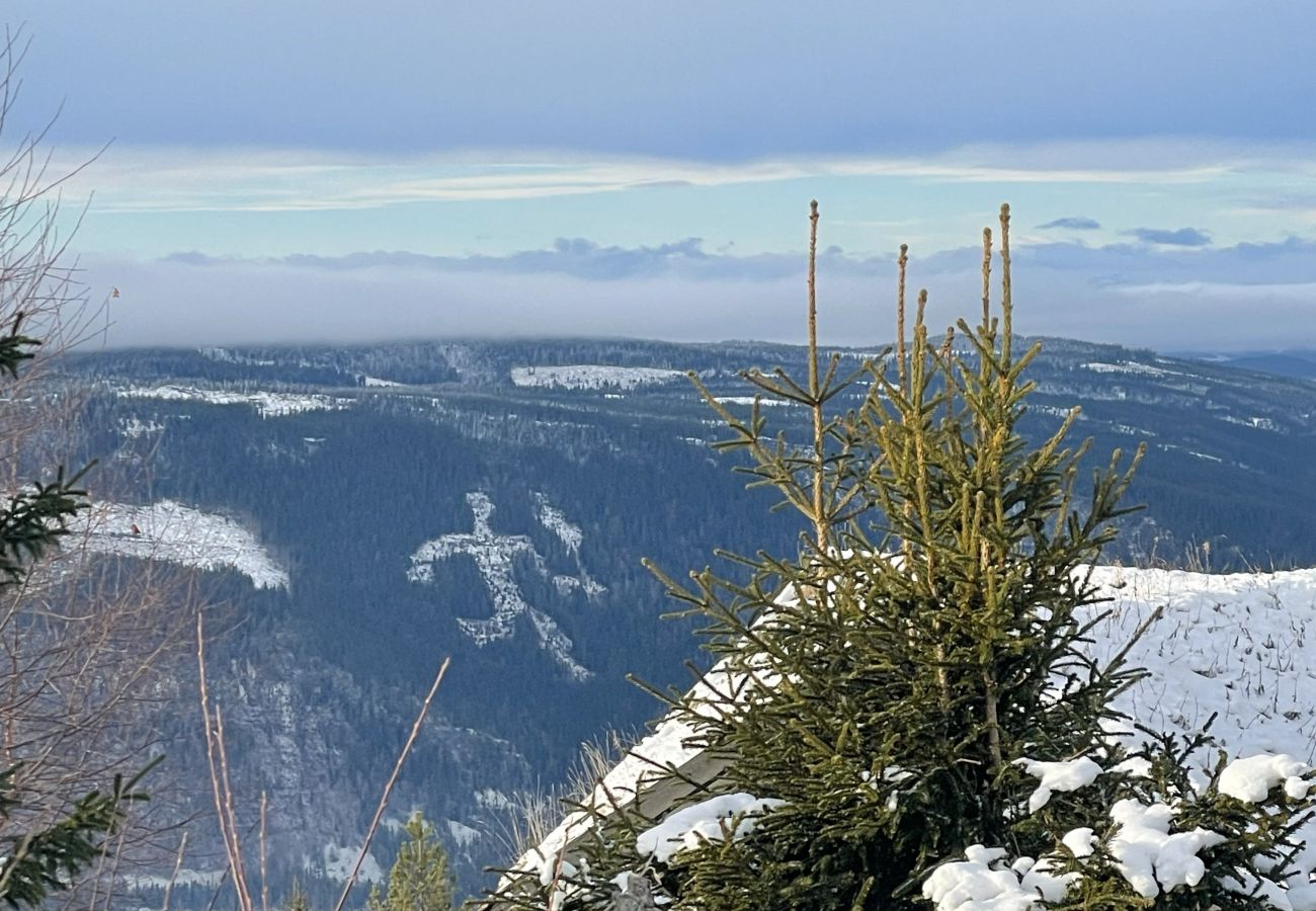 Hytte i Øyer - Bekkeblom, family cabin with extension in Hafjell