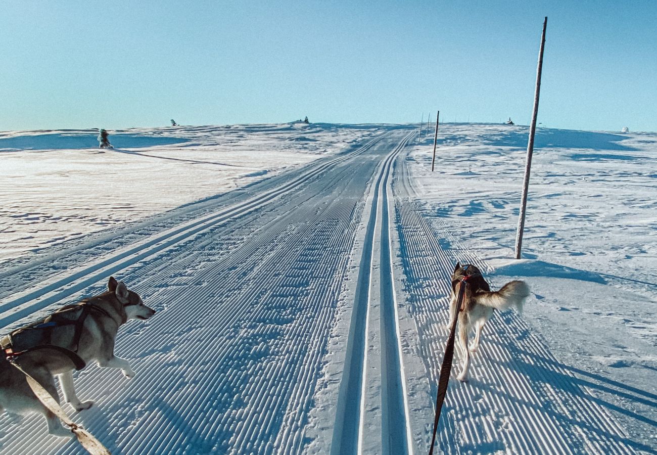 Leilighet i Gol - Moderne leilighet på Golsfjellet