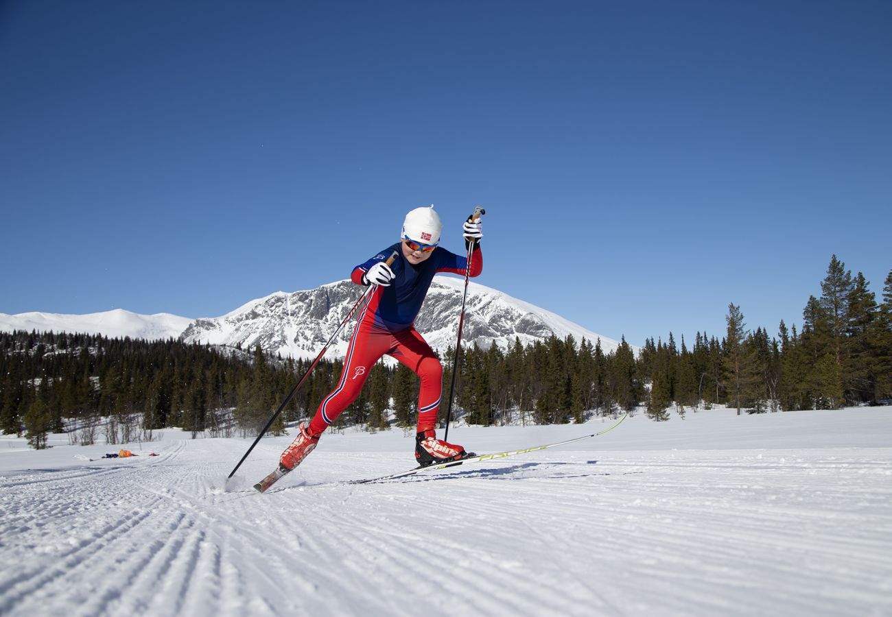 Hytte i Hemsedal - Gullstrupa, spacious family cabin in Hemsedal