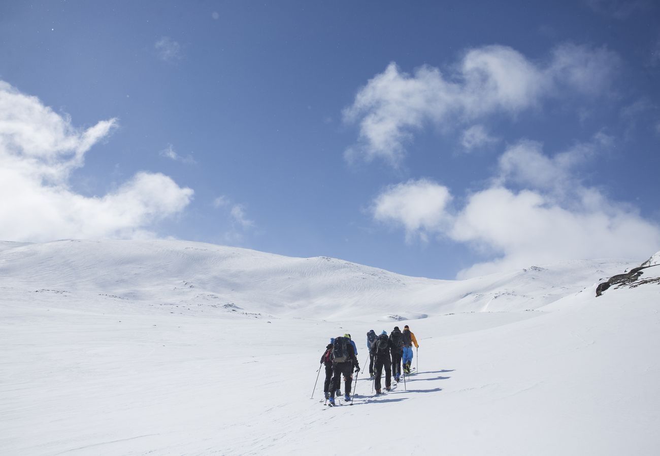 Hytte i Hemsedal - Gullstrupa, spacious family cabin in Hemsedal